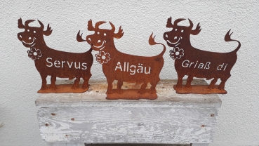 Deko Spaß Kuh mit der Schrift Griaß di ein Blickfang für ihren Eingang 25x25 cm
